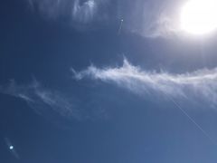 -九里湖国家湿地公园