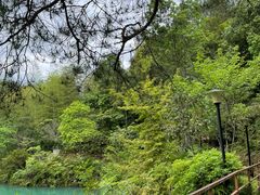 -仙店农庄(湖景农庄餐厅)