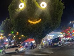 -特克斯八卦城