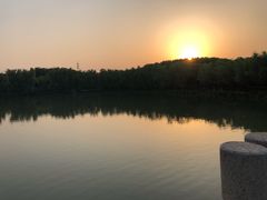 -昆山城市生态森林公园