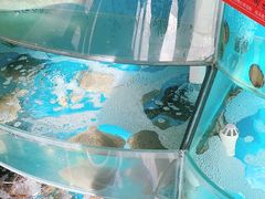 -聚德福海鲜家常菜(刘庄店)