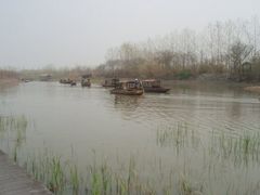 -溱湖国家湿地公园