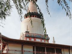 -张掖大佛寺景区