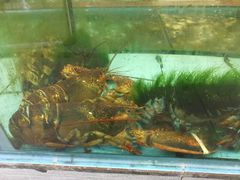 -景好海鲜餐厅(大鹏必选旅游店)