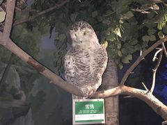 -大连自然博物馆·地球展厅