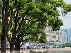 -西北湖绿化广场