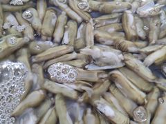 -阔澜蒸汽海鲜自助
