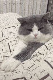 -盛兴面馆(真儒大厦店)