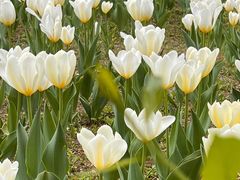 -长春公园(普阳街道)