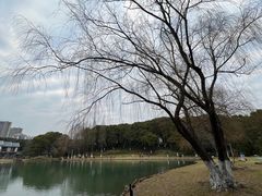 -新洲生态园