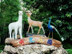 -佛冈森波拉度假区