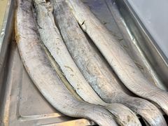 -吕四渔港码头海鲜餐厅
