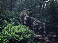 -虎跑公园