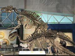 -湖南省地质博物馆