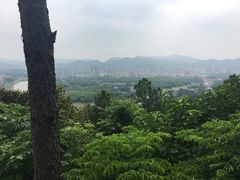 -分塔山省级森林公园