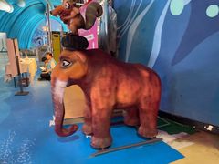 -烟台海昌鲸鲨海洋公园