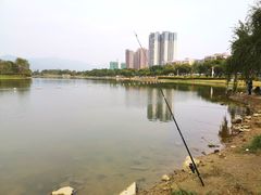 -飞来湖湿地公园