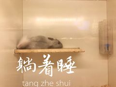 -龙猫仔乐园(惠福东路店)