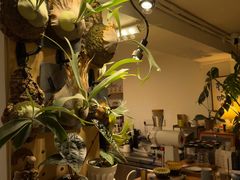 -本無咖啡·BeanWood Coffee