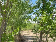 -永定河休闲森林公园