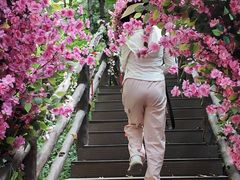 -王顺山国家森林公园