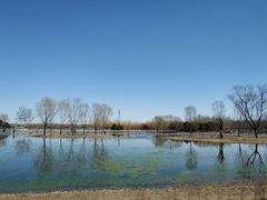 -大兴滨河森林公园