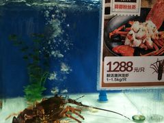 -盒马鲜生(和谐广场店)
