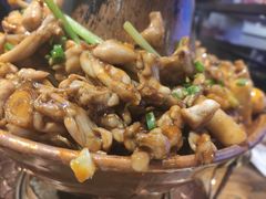 -老佛爷蛙锅•鲜蛙煲(麦凯乐店)