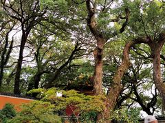 -普陀山风景名胜区-法雨禅寺