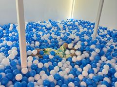 -涨巢·潮玩水疗局