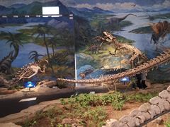 -自贡恐龙博物馆