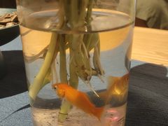 -瓦舍茶馆(聚源路店)