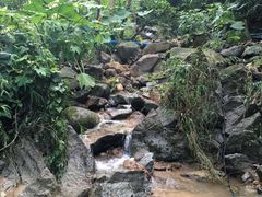 -火炉山森林公园