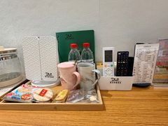 -国宝熊猫酒店(春熙路天府广场店)