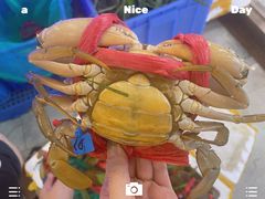 -膳富贵黄油蟹体验馆(欢乐港湾店)
