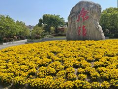 -恒生万鹂广场(唐镇店)