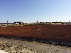-红海滩国家风景廊道