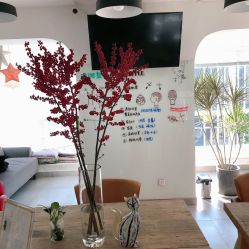 -净漪造型 PURE RIPPLE