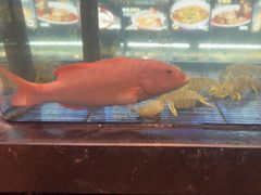 -小厨师·二十年沈家门小海鲜(百井坊巷店)