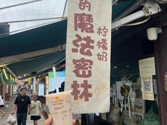 -猫的魔法密林(衣裳街店)