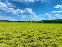 -塞罕坝国家级自然保护区