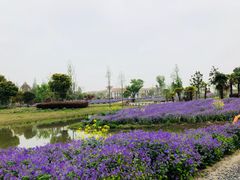 -歌斐颂巧克力小镇