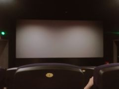 -CMC大光明影城(莲花店)