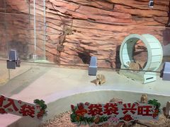 -正佳雨林生态植物园