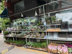 -青石桥花鸟鱼虫市场(叠翠城店)