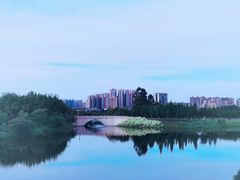 -眉山湿地公园(东坡区)