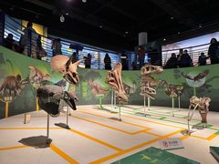 -国家自然博物馆