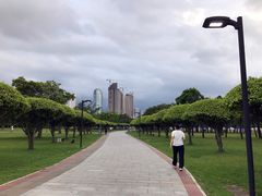 -万绿园