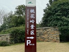 -桃花岭景区