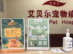 -艾贝尔宠物诊疗
